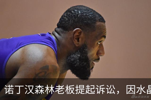 诺丁汉森林老板提起诉讼，因水晶宫球迷横幅引发争议