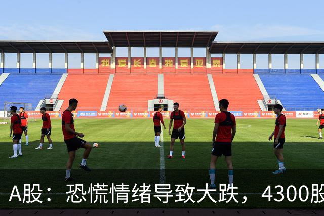 A股：恐慌情绪导致大跌，4300股下跌原因解析